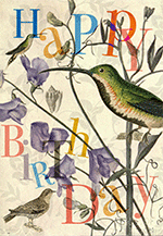 Kolibri Happy Birthday
